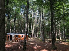 Waldkindergarten Kleine Füchse