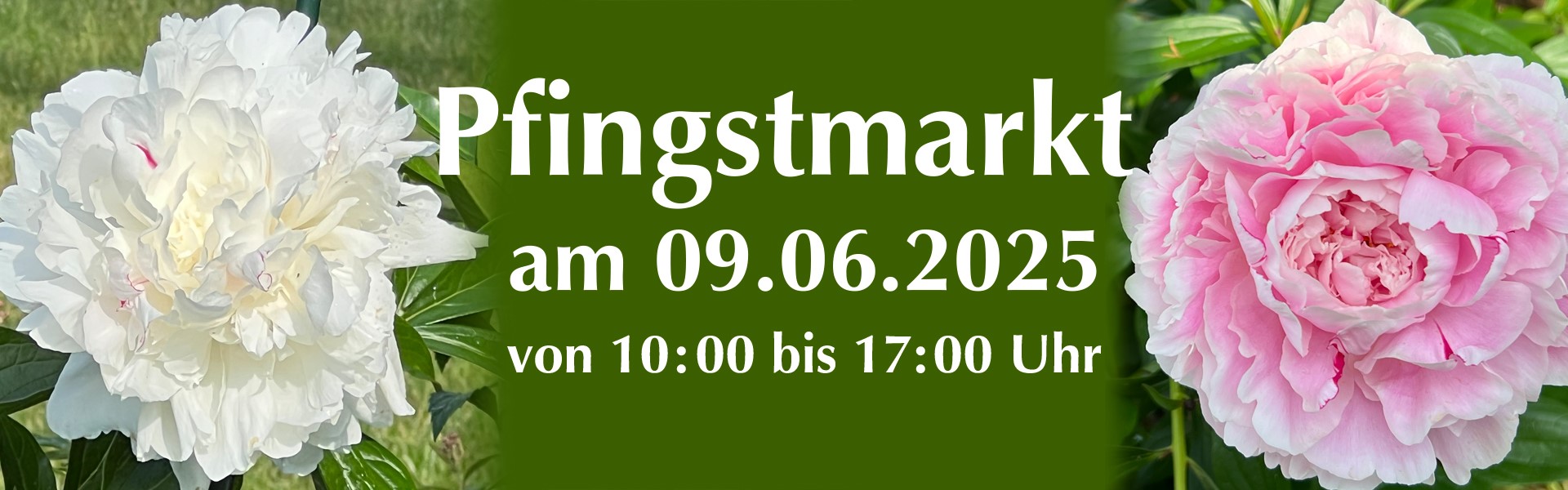 Banner Pfingstmarkt