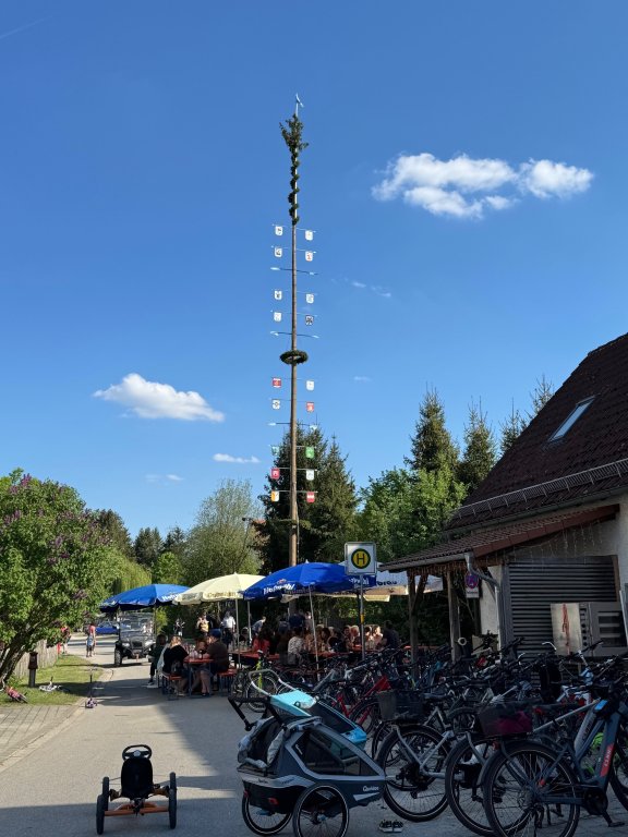 Maibaum 5