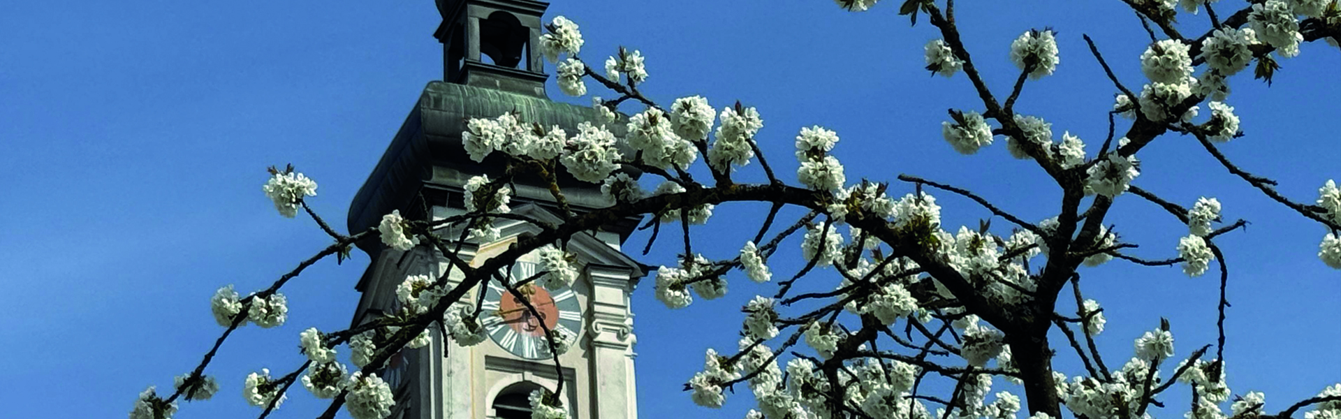 Banner Frühling Sinnesgarten