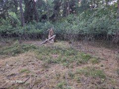 Pflegemaßnahmen im Naturschutzgebiet „Nöttinger Viehweide und Badertaferl“ Pflegemaßnahmen im Naturschutzgebiet „Nöttinger Viehweide und Badertaferl“