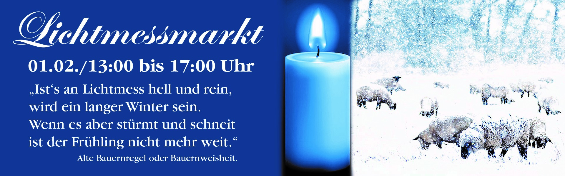 Banner Lichtmessmarkt