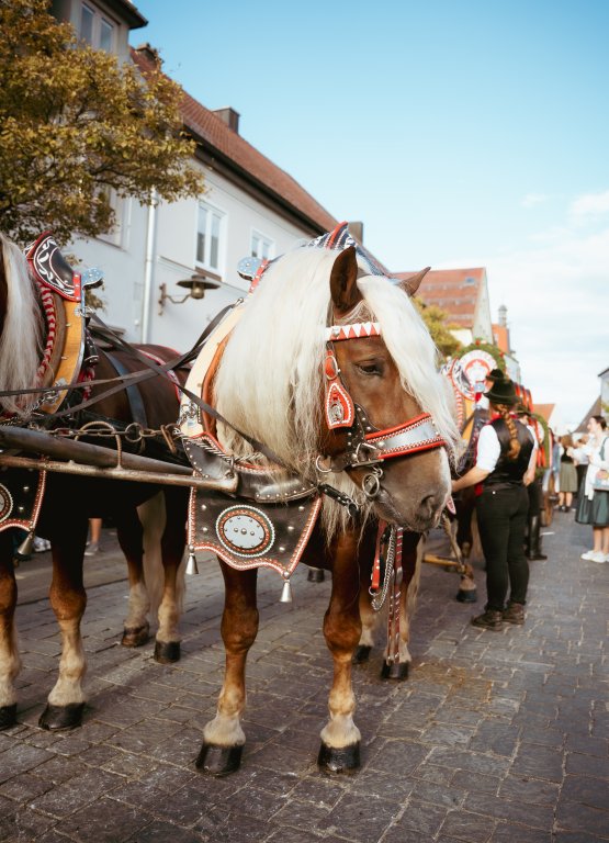 Volksfest Teil 1 Volksfest Teil 1