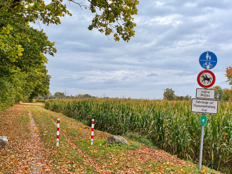 Radweg zwischen Engelbrechtmünster und Ilmendorf gesperrt